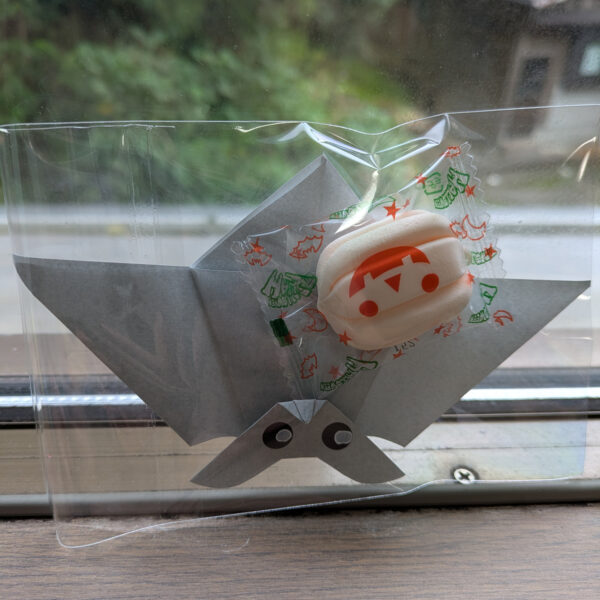 油がのって来たぞ! ３年目!